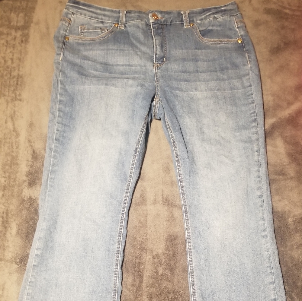 Melissa McCarthy Seven7 Jeans
